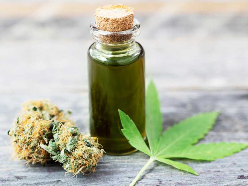 The Definitive Guide – CBD Oil