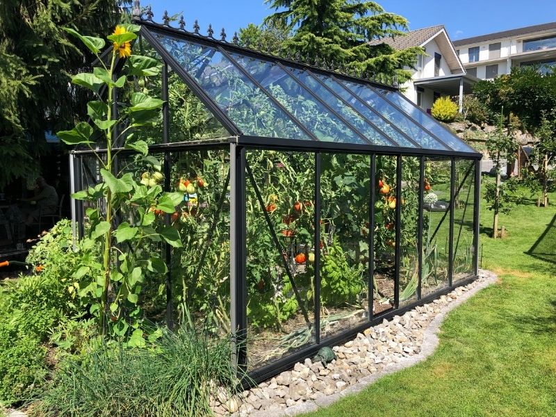 Greenhouse Kits: Are they Worth It?