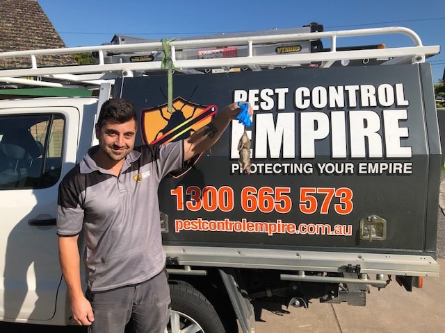 Having a Pest Control Company